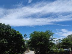 -广州白江湖森林公园