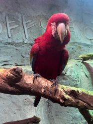 -Zoolung Zoolung动物主题公园(海信广场店)