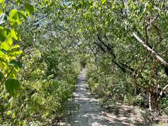 -元大都城垣遗址公园