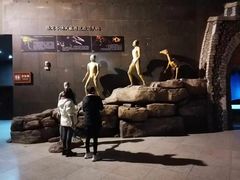 -世界恐龙谷景区