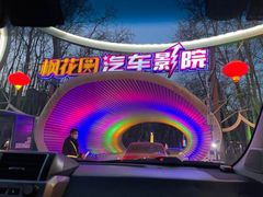 -枫花园汽车电影院(朝阳公园店)