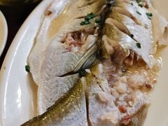 -太湖好灶头土菜馆(石公路店)