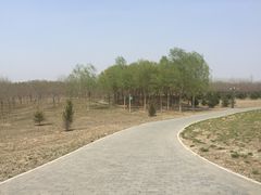 -东郊湿地公园