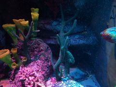 -沈阳海洋探索中心