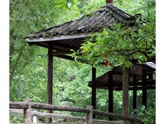 -紫云谷景区