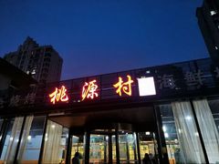-桃源村铁锅炖鱼(体育馆道店)