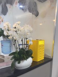 -上海首尔丽格医疗美容医院
