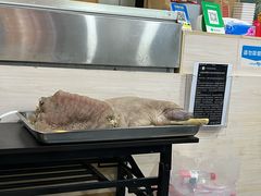 -丰登陕西水盆牛羊肉·泡馍