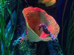 -沈阳海洋探索中心