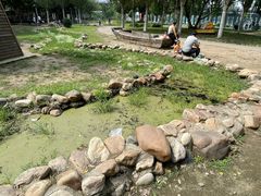 -长白岛森林公园