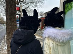 -北京国子监胡同