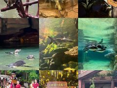 -长鹿旅游休博园