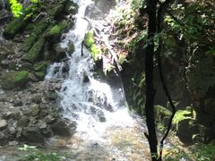 -本溪汤沟绿石谷森林公园