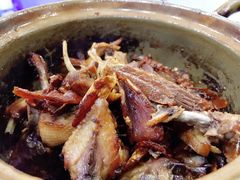 姜母鸭-斯丹姜母鸭·古法干香(涂门街总店)