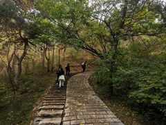 -金龙寺国家森林公园