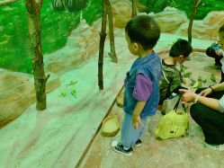 -宝燕乐园(闵行旗舰店)