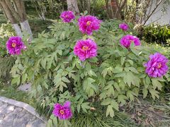 -狼山风景名胜区