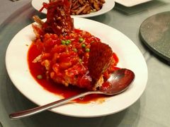 松鼠桂鱼-唐廊烤鸭店(工体店)