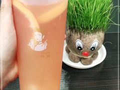 -沪上阿姨·精选茶饮(唐山新街北口店)