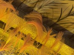 -東大方(湖州白鹭迎店)