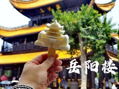 -岳阳楼景区