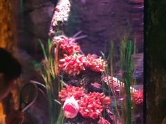 -沈阳海洋探索中心