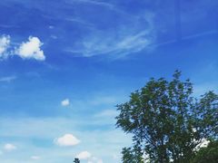 -王万妈卤猪脚(青岩交通路)
