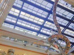 -巴黎春天(浦建店)
