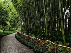 -上海醉白池公园