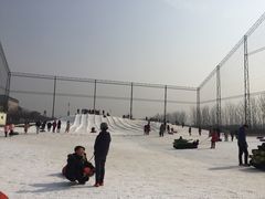 -万源龙顺度假庄园生态观光园