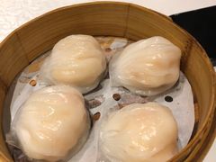维园虾饺皇-维园悦谱·海派家常菜(乌鲁木齐南路店)