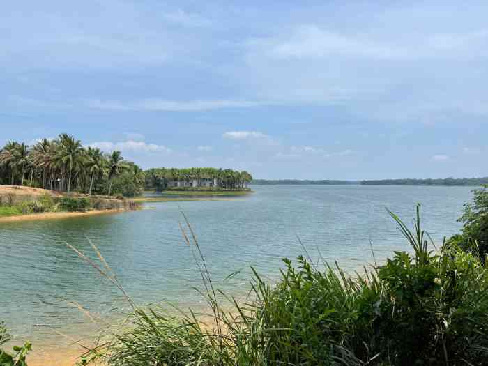 南丽湖国家湿地公园-"从文笔峰景区出来,听说有个南丽湖不错,边.