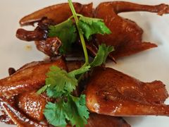 红烧乳鸽-黄埔华苑酒家(黄埔总店)