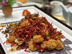 -丁老爷子苏香圆