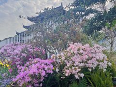 -苏州上方山国家森林公园