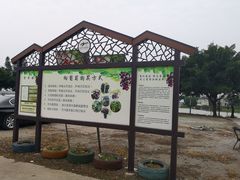 -向葡萄庄园