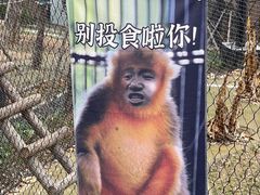 -武汉动物园