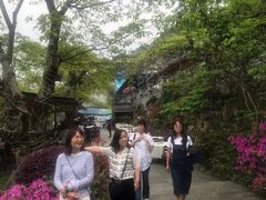 -老幺泉水鸡