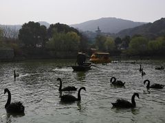 -无锡动物园·太湖欢乐园