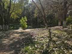 -长白岛森林公园