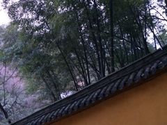 -九华山风景区月身宝殿