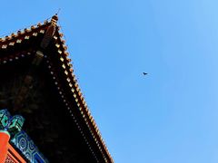 -北京市劳动人民文化宫(太庙)