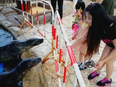 -芜湖新华联大白鲸海洋公园