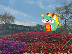 -招商蛇口邮轮母港(观光客运)