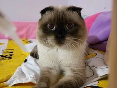 -北京恒爱动物医院(清景园分院)