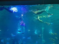 -福州罗源湾海洋世界旅游区