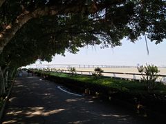 -大湾区中央湿地公园