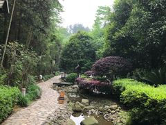 -明月山天沐温泉度假村