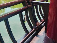 -水绘园