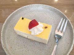 -THE PRESS(申报馆店)